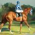 Andre Pater: In a Sporting Light